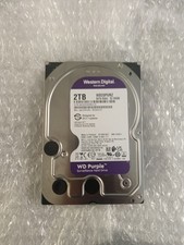 Purple wd20purz 2tb usato  Valvestino