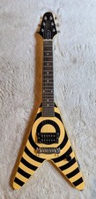 zakk wylde gebraucht kaufen  Frankenthal