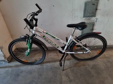 Pegasus avanti sport gebraucht kaufen  Bad Salzuflen