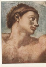 Michelangelo buonaroti erschaf gebraucht kaufen  Sülfeld