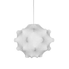 Flos taraxacum achille usato  Brescia