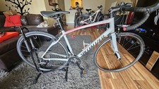 2018 specialized dolce for sale  Miami