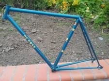 Rosa strada 1976 for sale  San Juan Capistrano