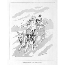 Louis wain homeward for sale  GLASGOW