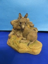 Teviotdale donkey foal for sale  SWINDON