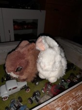 Two super cute for sale  BROXBOURNE