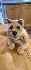 Hooli mooli dog for sale  BRADFORD