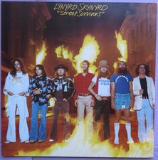 Lynyrd skynyrd street usato  Torino