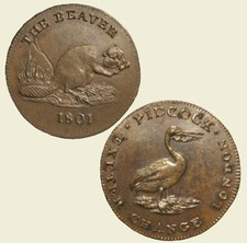 Middlesex pidcocks beaver for sale  MANCHESTER