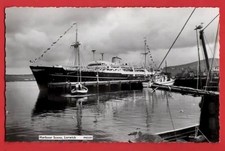 Shetland islands tjaldur for sale  WIRRAL