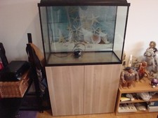 Interpet aquaverse fish for sale  SHEPPERTON