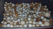 Marble lot antique for sale  Denair