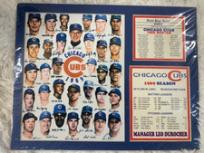 Chicago cubs ernie for sale  Monticello