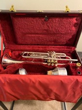 jupiter trumpet for sale jupiter trumpet for sale Manchester