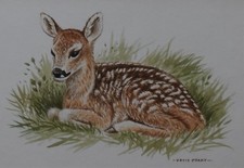 David parry original for sale  BARNSTAPLE