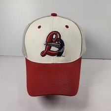 Great lakes loons for sale  Brown City