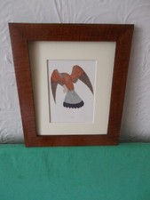 F.o.morris. kestrel history for sale  CONGLETON
