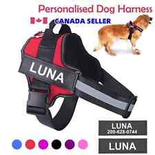 Personalize pull dog for sale  Shipping to Ireland