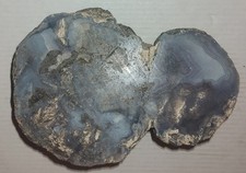 Laguna agate type for sale  Ocala
