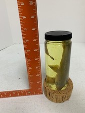 Shark pup bottle for sale  Crosby