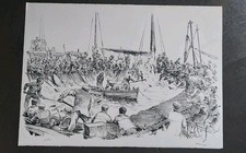 Alberto fremura. mattanza usato  Campi Bisenzio