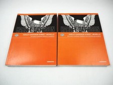 Harley davidson street gebraucht kaufen  Merseburg