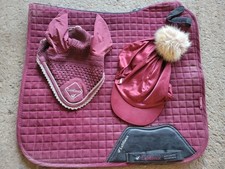 Rioja lemieux dressage for sale  TROWBRIDGE