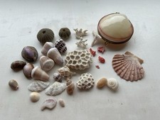 fossil coral for sale fossil coral for sale LONDON