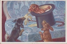 Vintage Dachshund Teckel Humor Old Dog PC. BWKI 853-2 comprar usado  Enviando para Brazil