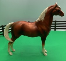 Hartland morgan stallion for sale  Newark