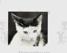 1988 press photo for sale  Memphis