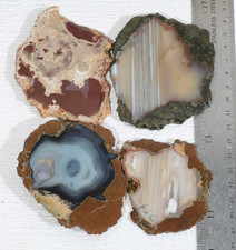 lapidary slabs for sale  Polson