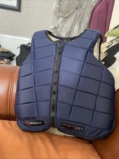 Racesafe 2018 rs2010 for sale  LINCOLN