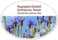Centaurea blume kräuter gebraucht kaufen  Versand nach Germany