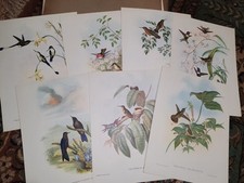 Lot gravures couleurs d'occasion  Le Mans