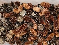 Mixed pine fir for sale  THORNHILL