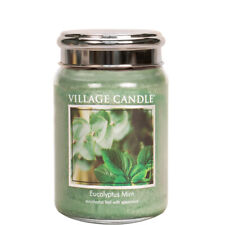 Village candle eucalyptus gebraucht kaufen  Mönchengladbach