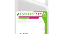 Leopard 1lt equivalente usato  Montescaglioso