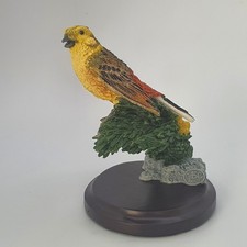 Yellowhammer country bird for sale Yellowhammer country bird for sale  CARDIFF