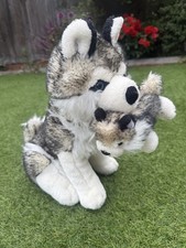 Siberian husky dog for sale  HOCKLEY