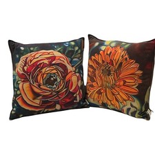 Set modern throw for sale  Roanoke