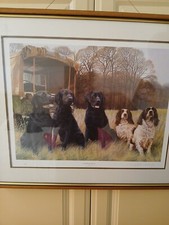 Beautiful nigel flemming for sale  GRIMSBY