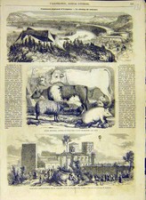 Original old antique for sale  UK
