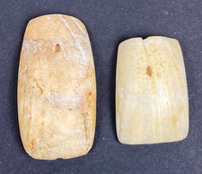 Primitivgeld stück muschelsch gebraucht kaufen  Wanfried