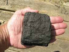 Bituminous coal specimen for sale  Richwood