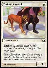 Mtg trained caracal usato  Bari
