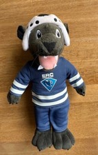 Erc ingolstadt eishockey gebraucht kaufen  Stein