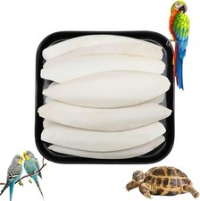 Ossi seppia naturali usato Ossi seppia naturali usato  Marsico Nuovo