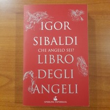Libro degli angeli usato  Diano San Pietro