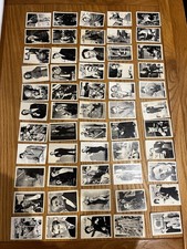 Man uncle bc for sale Man uncle bc for sale  SOUTHEND-ON-SEA